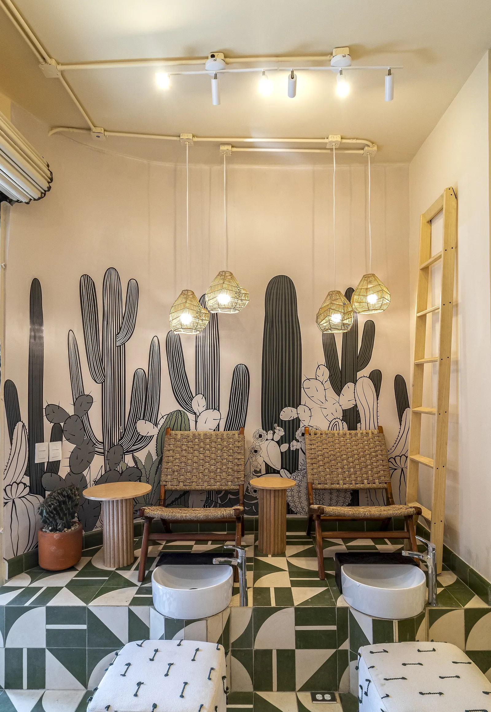 Repisas con plantas y producto en el salón Cactus